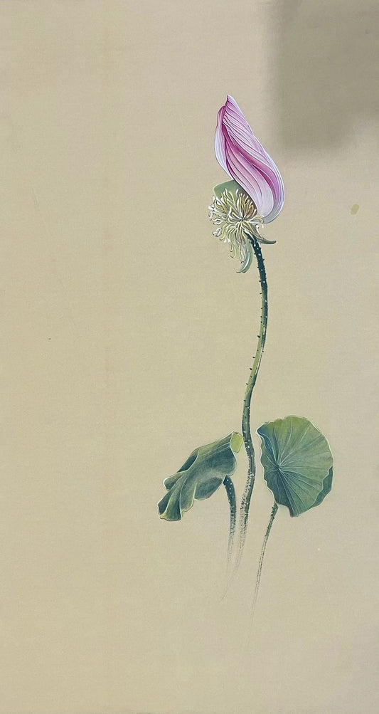 Chinese claborate-style painting——lotus Decoration for Study