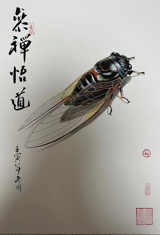 claborate-style painting—— cicada. dhyana; deep meditation, Set the world on fire, sudden success. decoration for offices