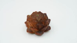 Taihang Falling Cliff Cypress