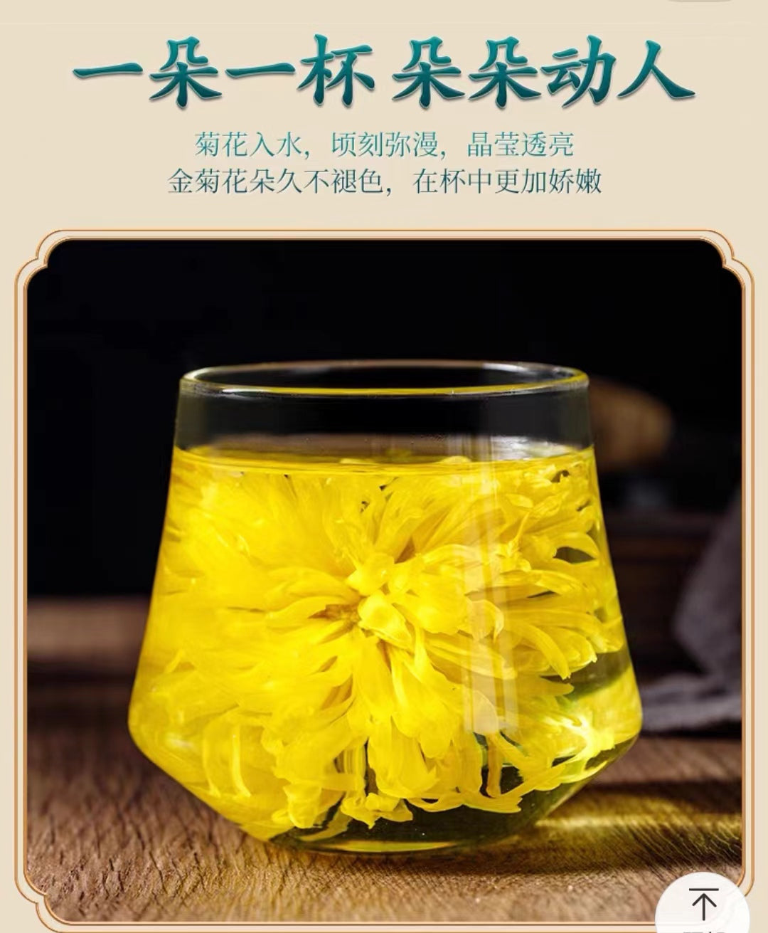 Chinese Tea- Yellow Chrysanthemum Tea