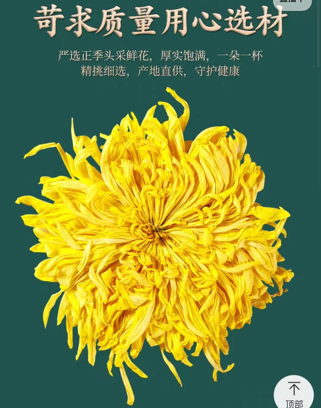 Chinese Tea- Yellow Chrysanthemum Tea