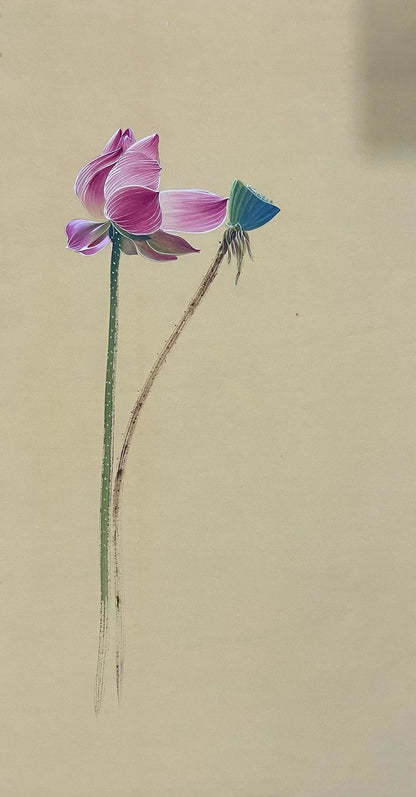 Chinese claborate-style painting——lotus  Decoration for Study