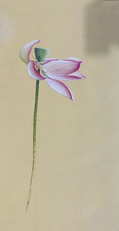 Chinese claborate-style painting——lotus  Decoration for Study