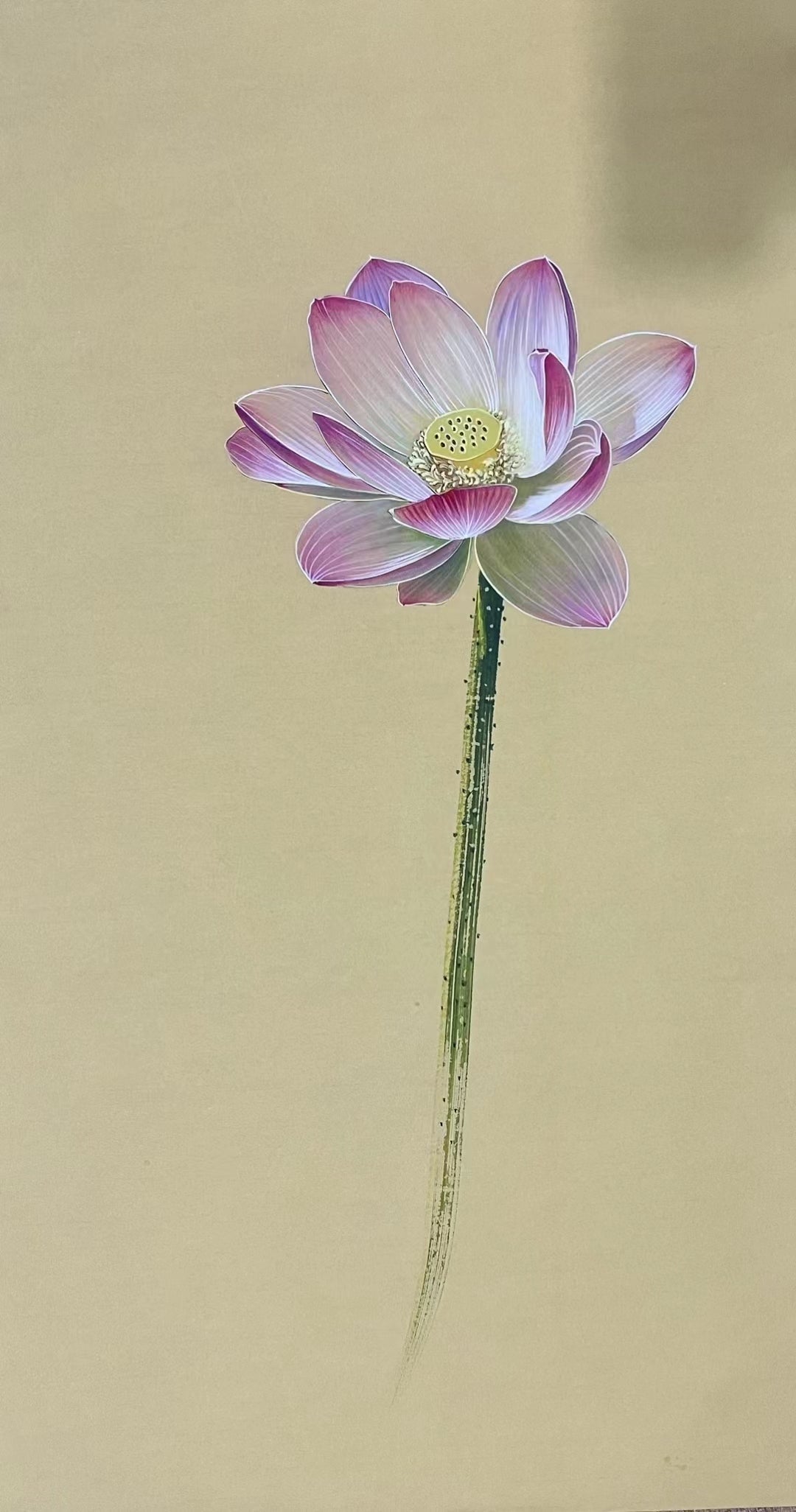Chinese claborate-style painting——lotus  Decoration for Study