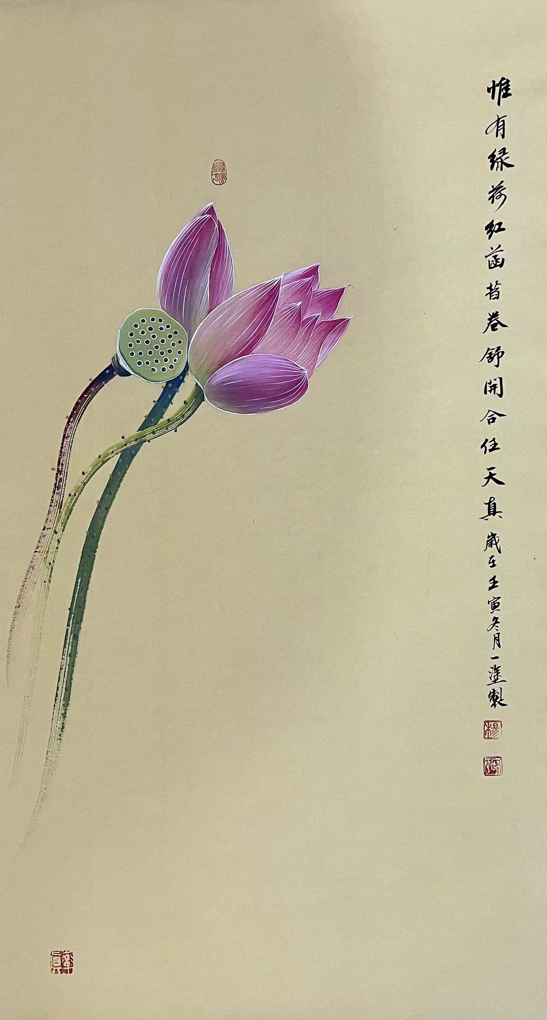 Chinese claborate-style painting——lotus  Decoration for Study