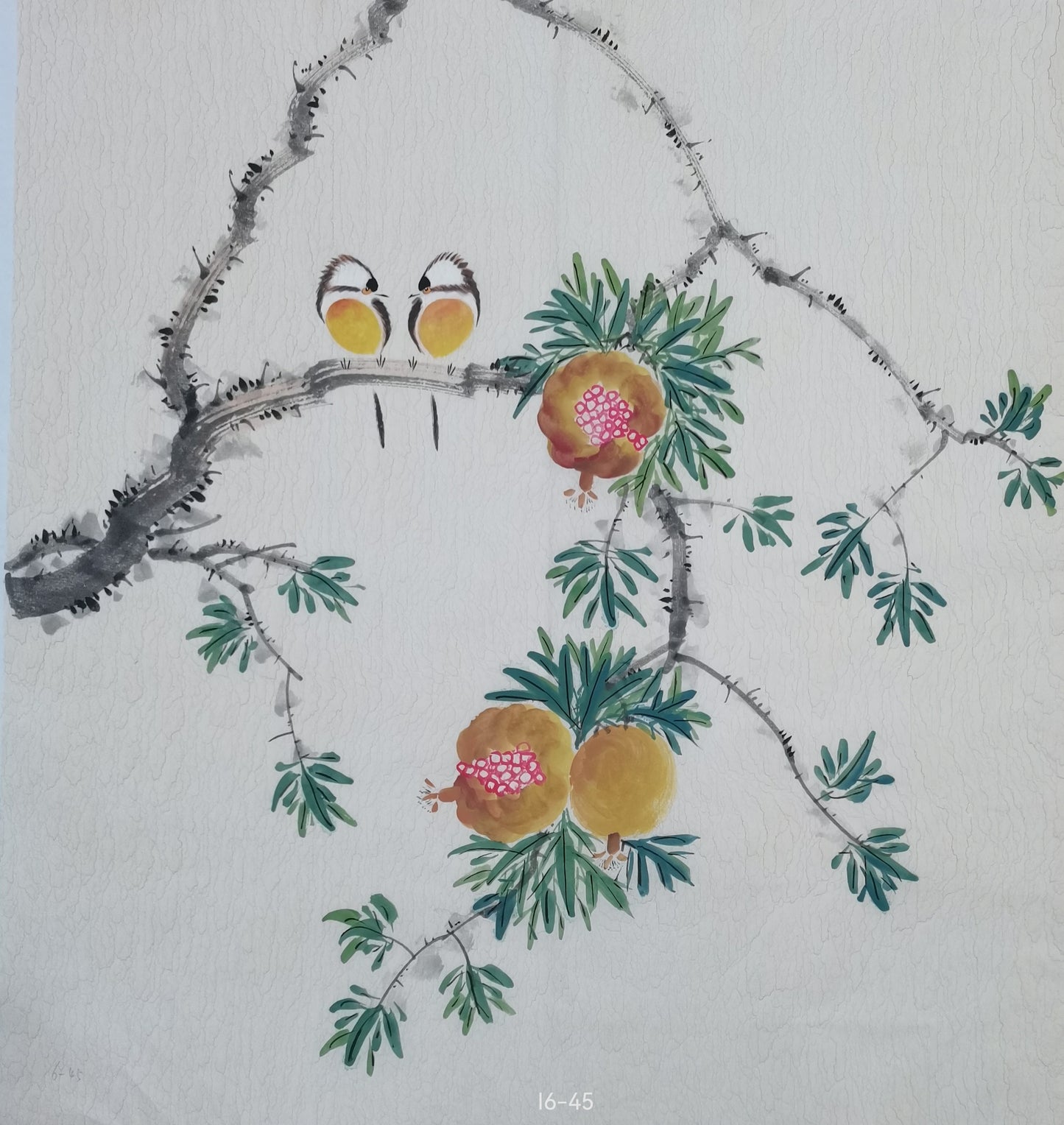Chinese painting-plant. Pomegranate and birds. Study decoration