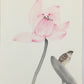 Chinese realistic painting-detailed painting.  Lotus and birds.