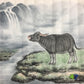 Chinese painting-cattle. ox, modesty and diligence, wealth and power.square painting, wall decoration