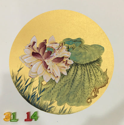 Chinese realistic painting-detailed painting.  Lotus.   Painted on hard paper jam