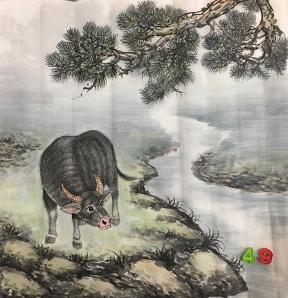 Chinese painting-cattle. ox, modesty and diligence, wealth and power.square painting, wall decoration