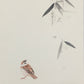 Chinese realistic painting-detailed drawing.   Painted on hard paper jam. Birds and bamboo  Living room decoration