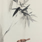 Chinese realistic painting-detailed drawing.   Painted on hard paper jam. Birds and bamboo  Living room decoration