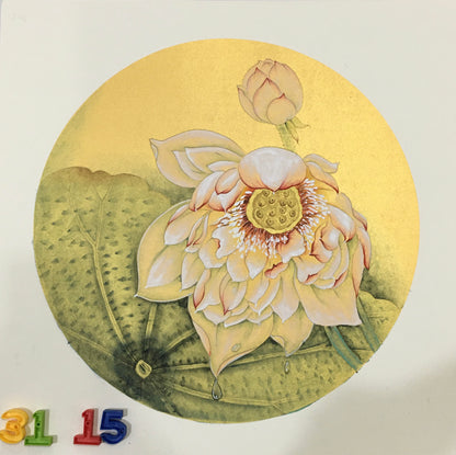 Chinese realistic painting-detailed painting.  Lotus.   Painted on hard paper jam