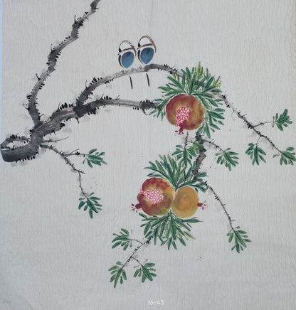 Chinese painting-plant. Pomegranate and birds. Study decoration