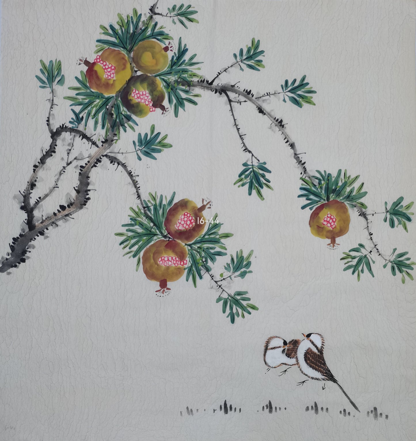 Chinese painting-plant. Pomegranate and birds. Study decoration